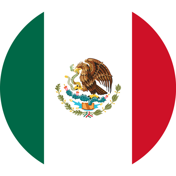 Mexico flag. 